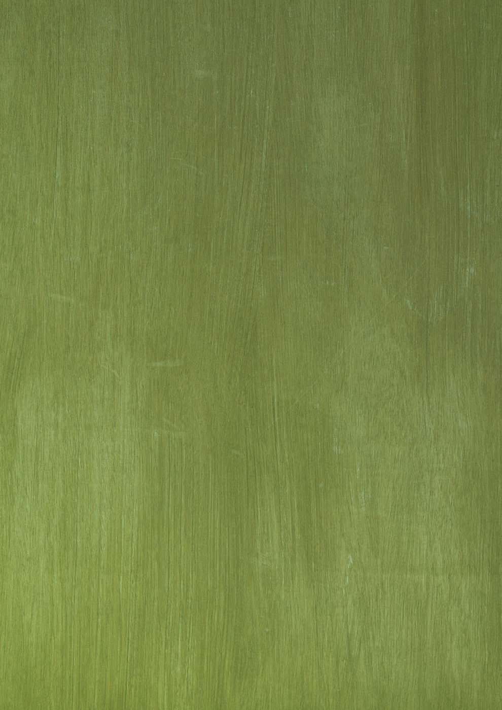 Mise en situation — collection STENCE Greener!