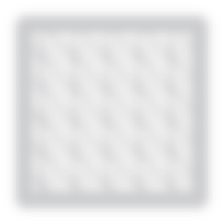 Motif STENCE — Fern