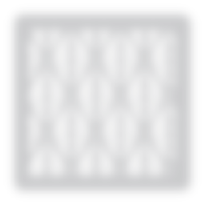 Motif STENCE — Samambaias